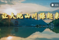 大地视频