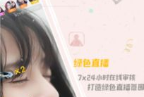 91y直播的是啥游戏啊,揭秘热门游戏背后的精彩世界