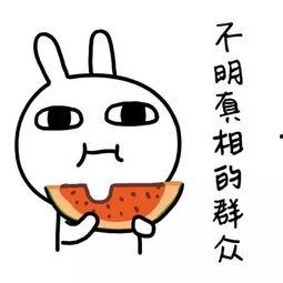 娱乐吃瓜酱独自打车,揭秘网约车背后的故事